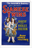 Poster Advertisement for Siamese Twins Daisy and Violet Hilton by Anonymous
