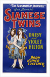 Poster Advertisement for Siamese Twins Daisy and Violet Hilton by Anonymous