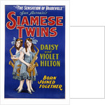 Poster Advertisement for Siamese Twins Daisy and Violet Hilton by Anonymous