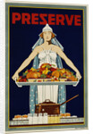 Preserve War Effort Poster with Figure of Columbia by Housh