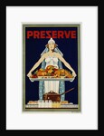Preserve War Effort Poster with Figure of Columbia by Housh