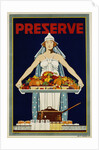 Preserve War Effort Poster with Figure of Columbia by Housh