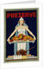 Preserve War Effort Poster with Figure of Columbia by Housh