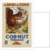 Adkin & Sons: Cob-Nut Tobacco Foil Packets Poster by Anonymous