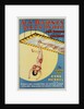 The Human Fly - Anna Merkel Poster by Anonymous