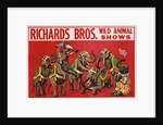 Richards Bros. Wild Animal Shows Poster by Anonymous