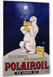 Polairoil Poster by Mich