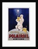 Polairoil Poster by Mich