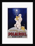Polairoil Poster by Mich