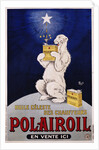 Polairoil Poster by Mich