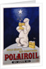 Polairoil Poster by Mich
