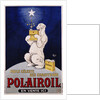 Polairoil Poster by Mich