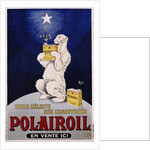 Polairoil Poster by Mich