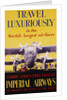 Travel Luxuriously Poster by V.L. Danvers