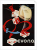 Evona Soap and Toiletries Advertisement Poster by Hofbauer Porkorny