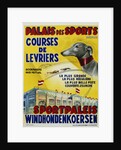 Palais des Sports - Courses de Levriers - Sportspalais Windhondenkoersen Dog Racing Poster by Anonymous
