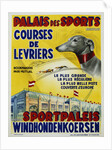 Palais des Sports - Courses de Levriers - Sportspalais Windhondenkoersen Dog Racing Poster by Anonymous