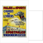 Palais des Sports - Courses de Levriers - Sportspalais Windhondenkoersen Dog Racing Poster by Anonymous