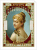 Biscuits Lefevre-Utile Poster by A.J. Chantron