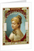 Biscuits Lefevre-Utile Poster by A.J. Chantron