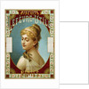 Biscuits Lefevre-Utile Poster by A.J. Chantron