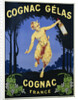 Cognac Gelas Poster by Anonymous