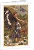 Salis Caprea Perfume Advertisement by Anonymous