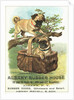 Albany Rubber House Advertisement by Anonymous