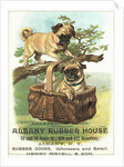 Albany Rubber House Advertisement by Anonymous