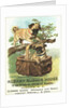 Albany Rubber House Advertisement by Anonymous