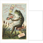 Hoyt's German Cologne Advertisement by Anonymous