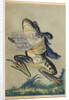 Ah! Toi Ma Vie Postcard by Anonymous