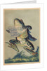 Ah! Toi Ma Vie Postcard by Anonymous