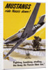 Mustangs Ride Nazis Down! Poster by Anonymous
