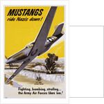 Mustangs Ride Nazis Down! Poster by Anonymous