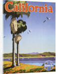 California Poster by Oscar Bryn