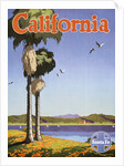 California Poster by Oscar Bryn