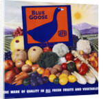 Blue Goose Poster by Anonymous