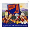 Blue Goose Poster by Anonymous
