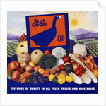 Blue Goose Poster by Anonymous