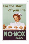 No-Nox Gas Poster by Anonymous