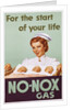 No-Nox Gas Poster by Anonymous