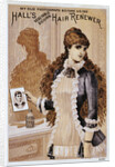 Hall's Hair Renewer Trade Card by Anonymous
