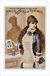 Hall's Hair Renewer Trade Card by Anonymous