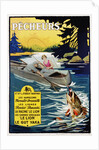 Pecheurs Advertisement Poster by Anonymous