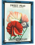Sweet Peas Spencer Mixed Flower Seeds Package Label by Anonymous