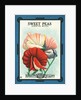 Sweet Peas Spencer Mixed Flower Seeds Package Label by Anonymous