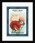 Sweet Peas Spencer Mixed Flower Seeds Package Label by Anonymous