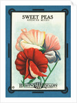 Sweet Peas Spencer Mixed Flower Seeds Package Label by Anonymous