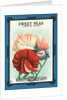 Sweet Peas Spencer Mixed Flower Seeds Package Label by Anonymous